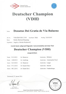 Dt Champion VDH