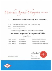 Dt Jugend-Champion VDH